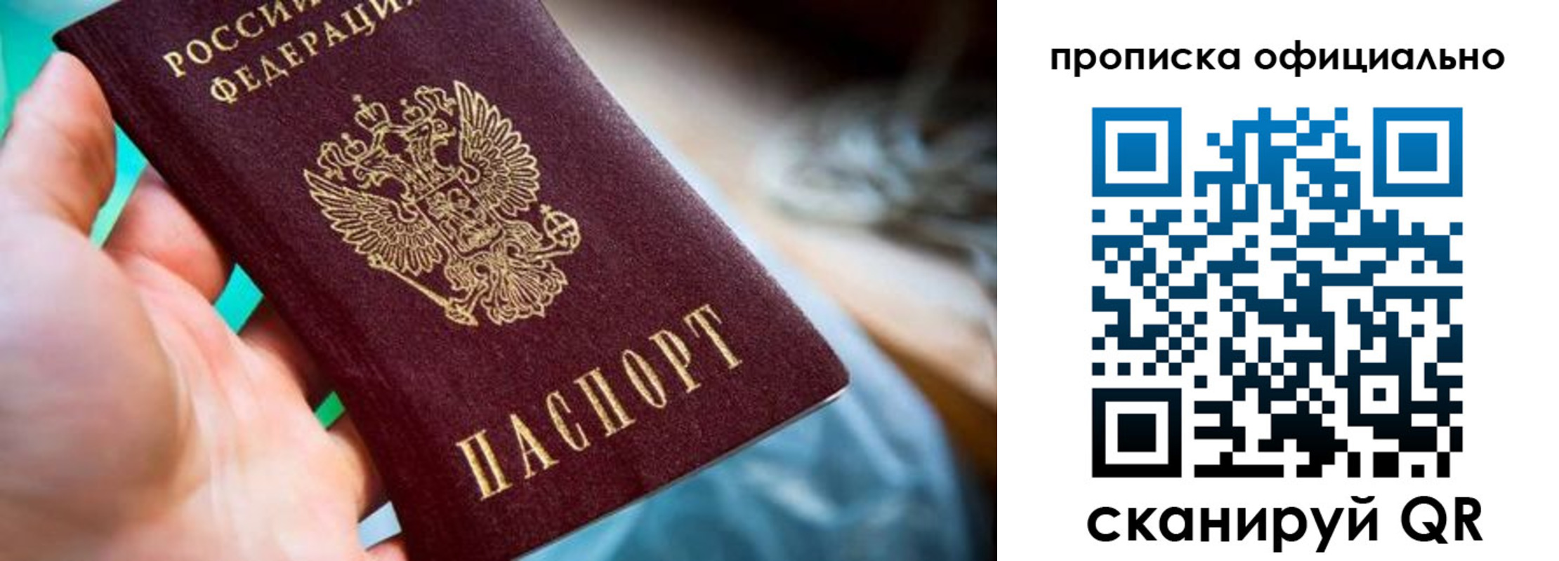 прописка поиск в Приморском крае